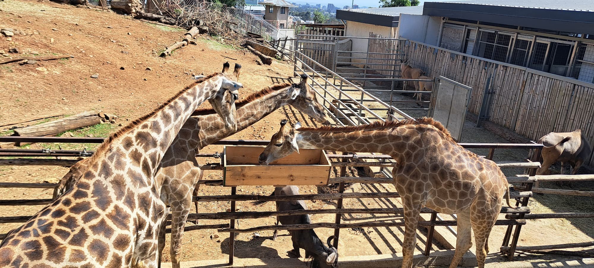 다양한 동식물이 있는 동물원 및 정원 체험